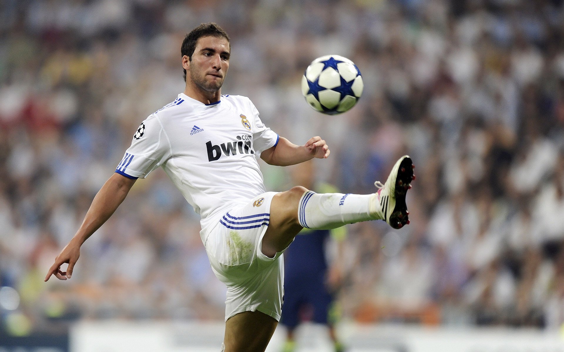 世界足球日庆典全球同步举行，促进足球文化传播，世界足球日主题活动